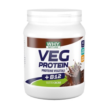 Why Nature - Veg Protein Cacao - 450 g